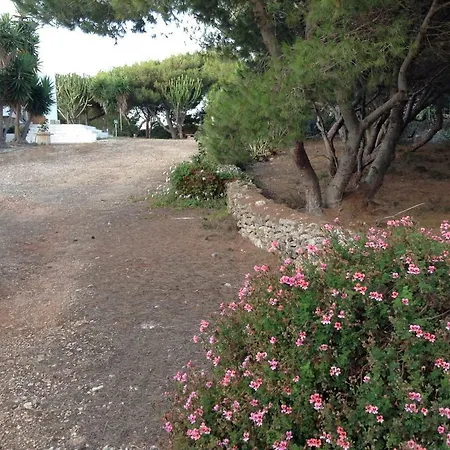 La Veranda Sul Mare Landsted Favignana